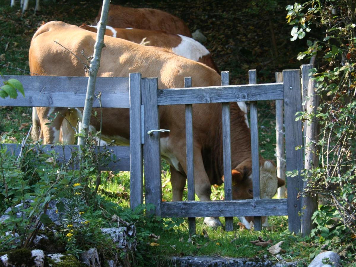 Ferienwohnungen Haus Waldwinkel Aschau im Chiemgau Ngoại thất bức ảnh